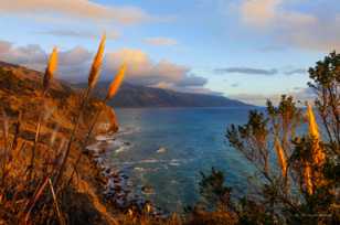 Big Sur Coast at Lucia-1950.jpg Big Sur Coast at Lucia-1950.jpg